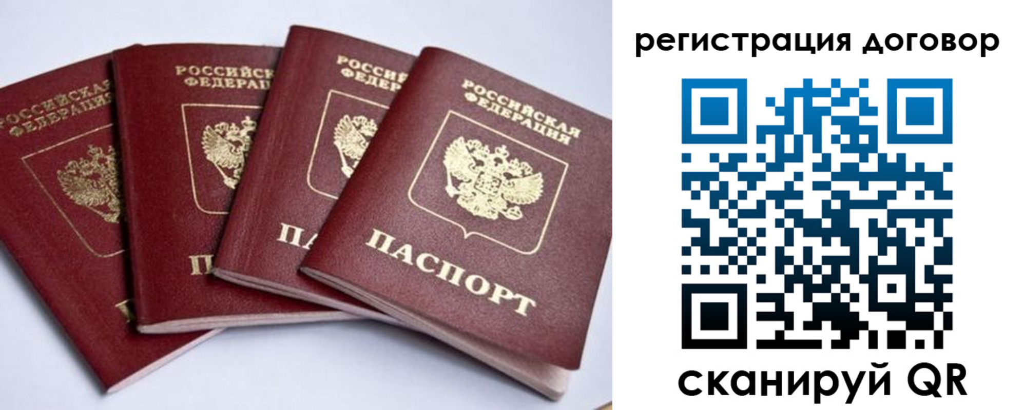 прописка поиск в Коврове